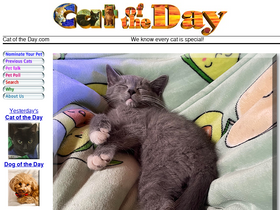 'catoftheday.com' screenshot