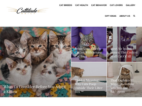 'cattitudedaily.com' screenshot
