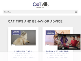 'catvills.com' screenshot