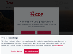 'cdp.net' screenshot
