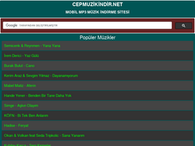 'cepmuzikindir.net' screenshot