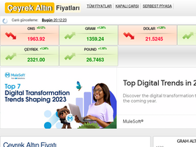 'ceyrekaltinfiyatlari.com' screenshot