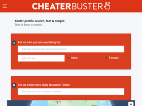 'cheaterbuster.net' screenshot