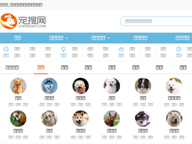 'chongso.com' screenshot