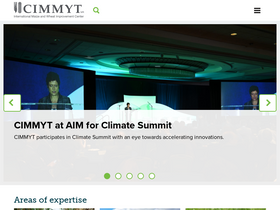 'cimmyt.org' screenshot
