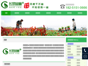 'cmeii.com' screenshot