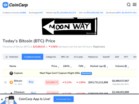 'coincarp.com' screenshot