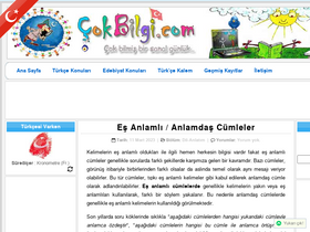 'cokbilgi.com' screenshot