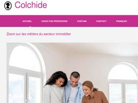 'colchide.com' screenshot