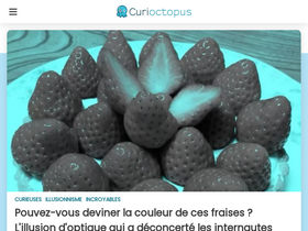 'curioctopus.fr' screenshot