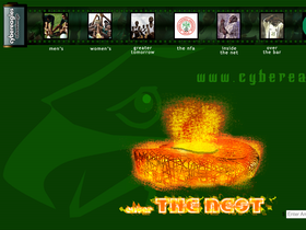 'cybereagles.com' screenshot