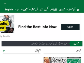 'dailypakistan.com.pk' screenshot