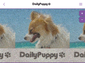 'dailypuppy.com' screenshot