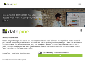 'datapine.com' screenshot