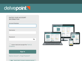 'delvepoint.com' screenshot