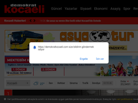 'demokratkocaeli.com' screenshot