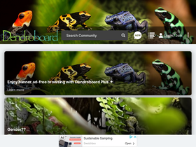 'dendroboard.com' screenshot