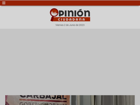 'diariopinion.com.ar' screenshot