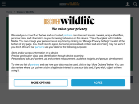 'discoverwildlife.com' screenshot