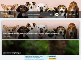 'dogforums.com' screenshot