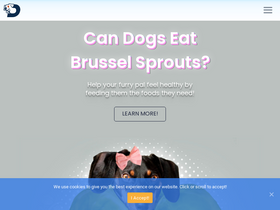 'dogleashpro.com' screenshot