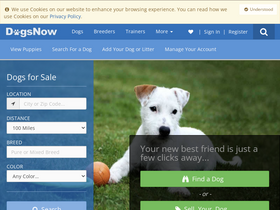 'dogsnow.com' screenshot