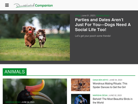 'domesticatedcompanion.com' screenshot