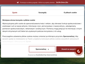 'domoweklimaty.pl' screenshot