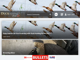 'duckhuntingchat.com' screenshot