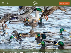 'ducks.org' screenshot