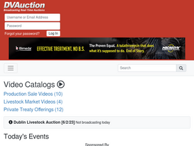 'dvauction.com' screenshot