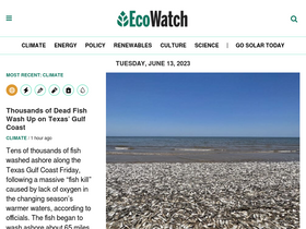 'ecowatch.com' screenshot