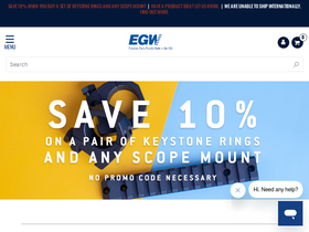 'egwguns.com' screenshot