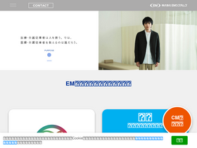 'emsystems.co.jp' screenshot