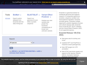 'ensembl.org' screenshot