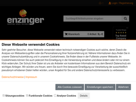 'enzinger.com' screenshot