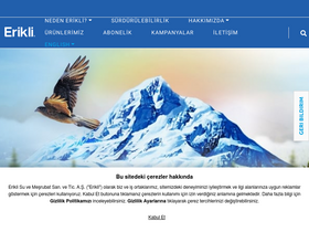 'erikli.com.tr' screenshot