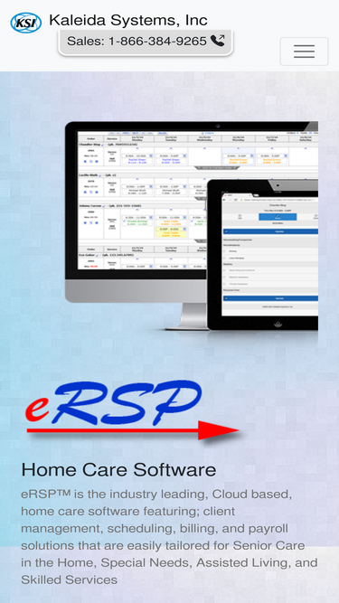 Ersp Biz Analytics Market Share Stats Traffic Ranking