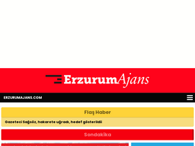 'erzurumajans.com' screenshot