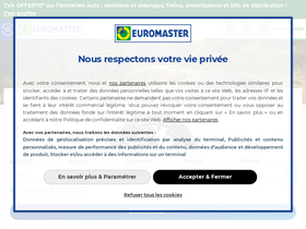 'euromaster.fr' screenshot