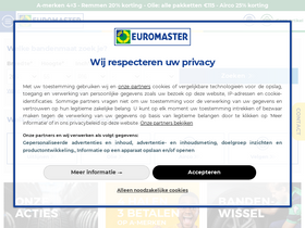 'euromaster.nl' screenshot