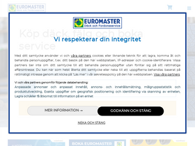 'euromaster.se' screenshot