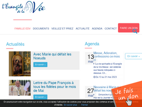 'evangelium-vitae.org' screenshot