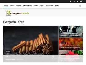 'evergreenseeds.com' screenshot