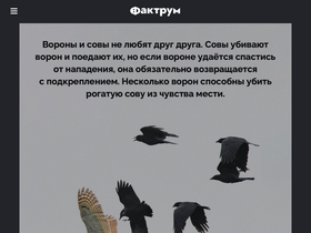 'factroom.ru' screenshot
