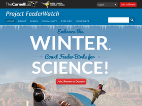 'feederwatch.org' screenshot