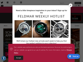 'feldmarwatch.com' screenshot
