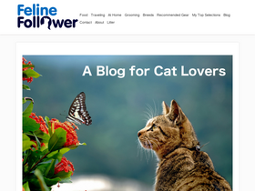 'felinefollower.com' screenshot