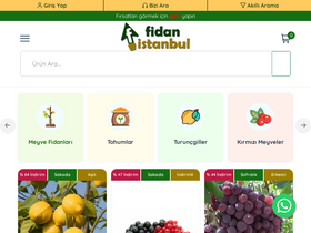 'fidanistanbul.com' screenshot
