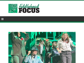 'fiddleheadfocus.com' screenshot
